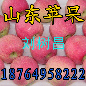 мtʿOмtʿOlмtʿO