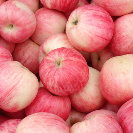 Q޹˾