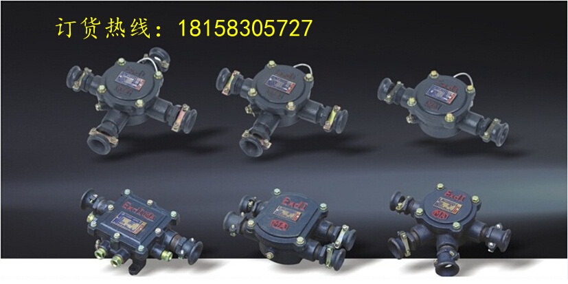 BHD2-25/380-2TVø͵͉|Ӿ