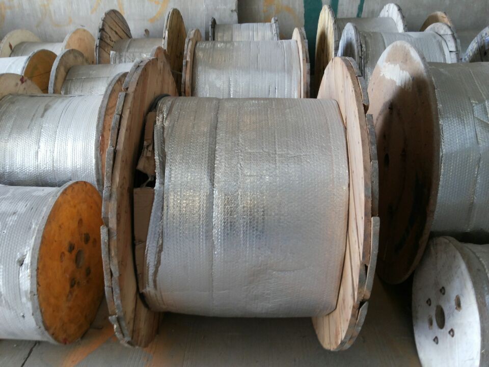 ADSS| ADSS-12-PE-300