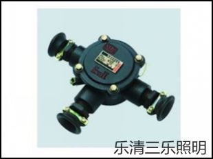 BHD2-25/380-3T͉Ӿ