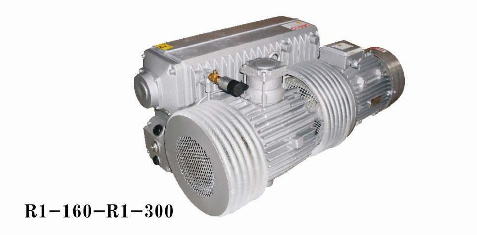 R1-302ձ