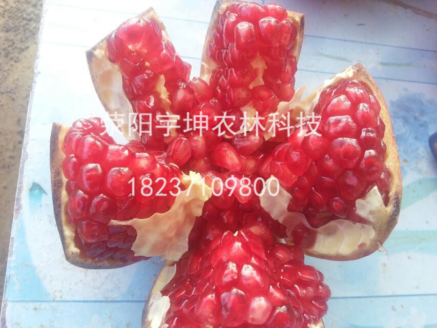 ܛʯo(w)cȵ18237109800