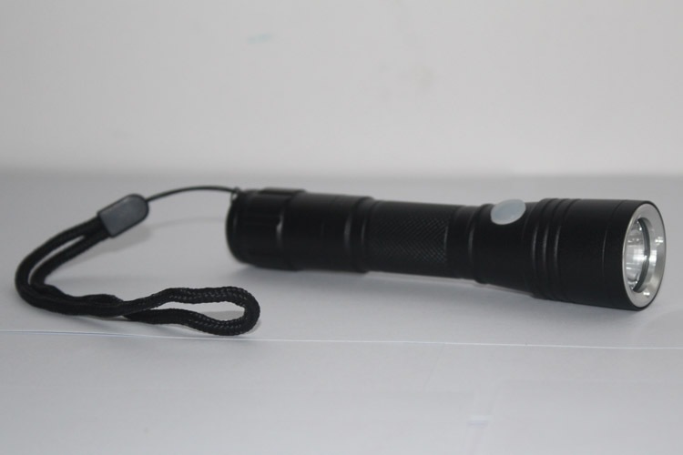 [AsBAD202Ar][BAD202Aa]