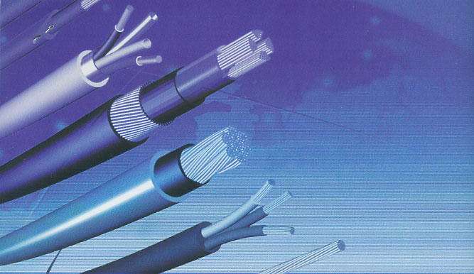 MHYV 1X2X7/0.3V|(bo)r(ji)