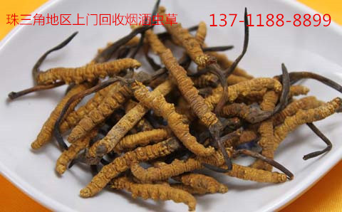 ڻնxĲ