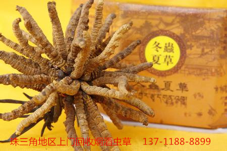 麣նxĲ