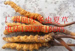 ӻնxĲ