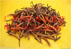 ƻնxĲ