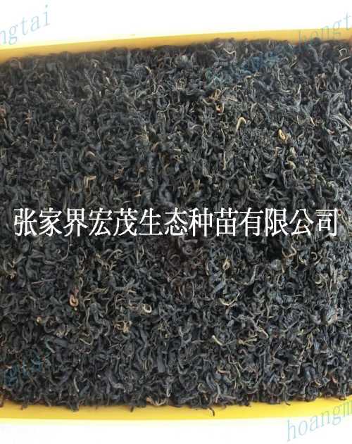 X(qin)S ҰX(qin)