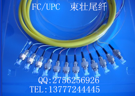 FC/UPCβw