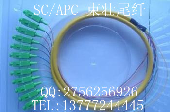 żSC/APC12оβw