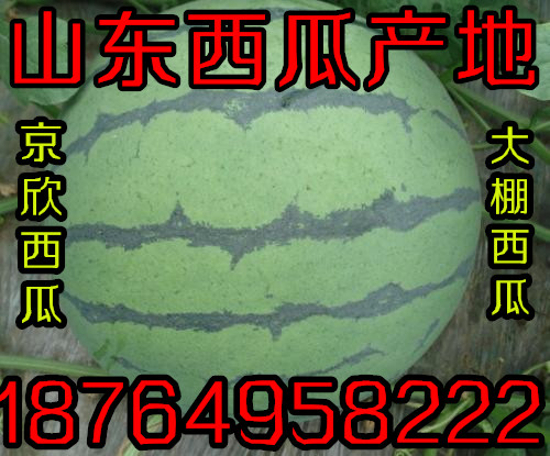 (yng)ȫ(gu)l(f)̓r(ji)ȫ(gu)l(f)