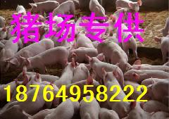(yng)i飬ˮiB(yng)ֳأɽ|Ril(f)