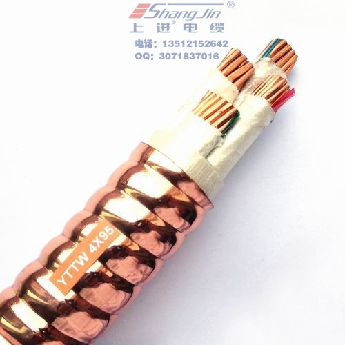 ϺM|F޹˾|YTTW-4X95