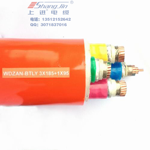 ϺM|F޹˾|BTLY-3X185+1X95