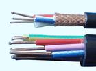 DJYVP22 450/750V 10*2*1.5 1*3*1.5