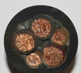MYPT-6/10KVεV|