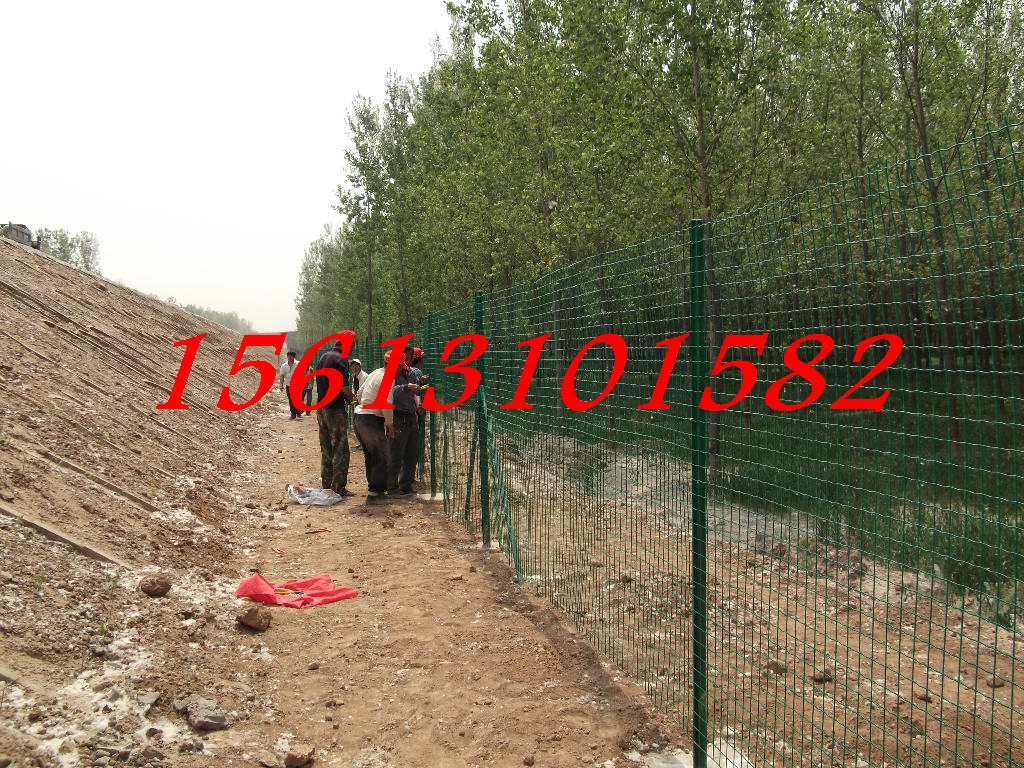 K݈@ַoóɾoFzW(wng)/1.8׸ȦFzW(wng)SҟuFُ