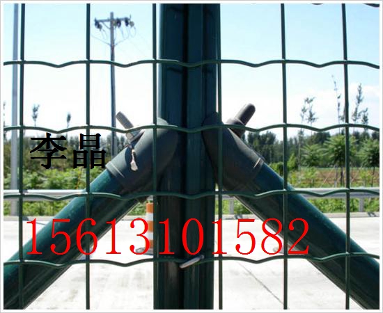ȦB(yng)1.5׸ɢB(yng)uFzW(wng)/Rꖲ˺mW(wng)S2015u