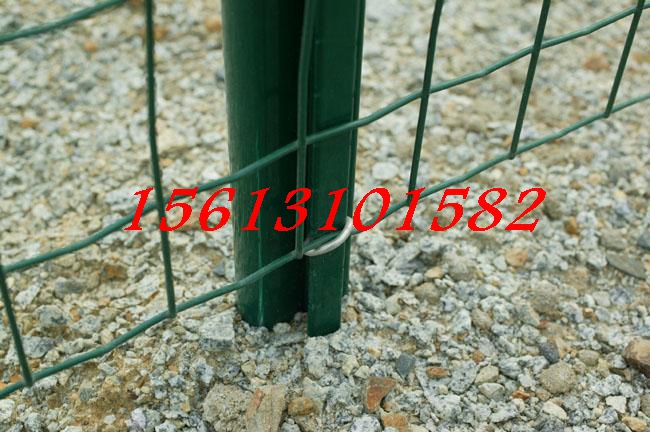 B(yng)ֳúmW(wng)/ƽɽ1.8*30B(yng)ֳmW(wng)l(f)Xһף