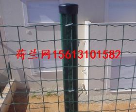 HȦظxFzW(wng)/1.8׸r(nng)B(yng)uFzW(wng)/B(yng)uFzW(wng)x