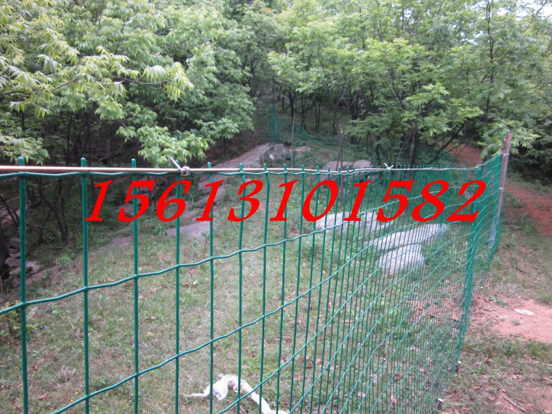 1.8*30B(yng)uFzW(wng)ӹS K3mmzȦFzW(wng)؛r(ji)