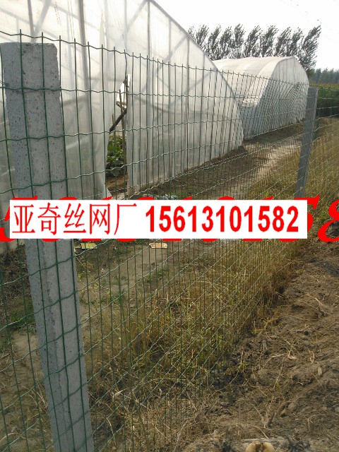 ƽɽB(yng)uFzW(wng)1.5*30׳ɾB(yng)ֳmW(wng)Xһ5u