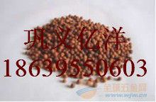 (yu)|(zh)Vσr ݃(yu)|(zh)Va(chn)(yng)