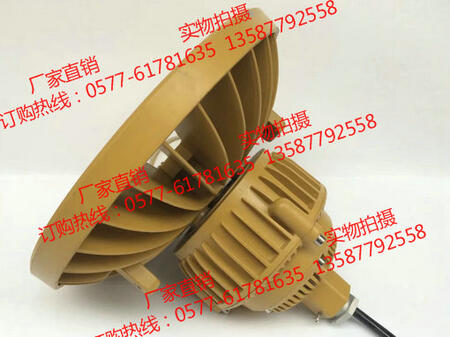 (l)늚޹˾