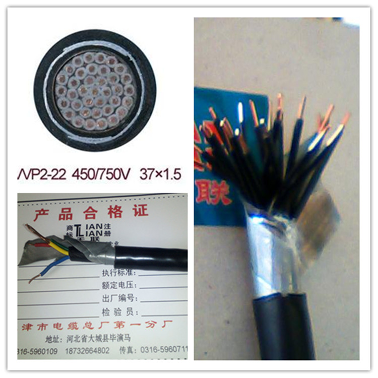 ZR-KVVP2-22|