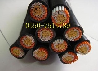 XFNH-DJYP1VP1RANH-DJGP1GP1R-500V