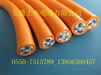 NH-DJF46GP2AZCN-DJFVP2-300/500V