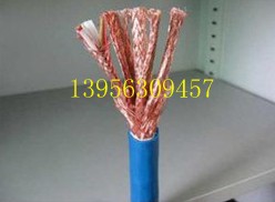 NH-DJFFP2A˾ZBN-DJVVP2-2*3*0.75