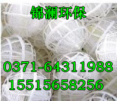 KҸֱNr