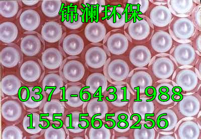 Һ渲w̓r