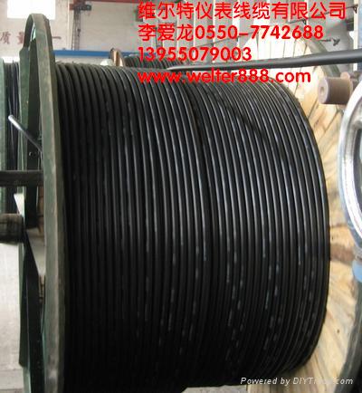 Sҹ(yng)SCEFR4*6+1*4|