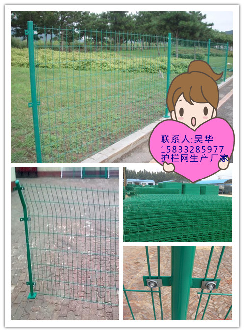 ڡľڡoڡͨ