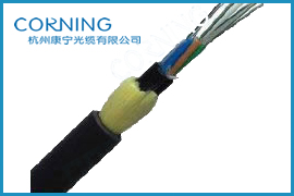 Qadss-24b1-100|r񅢔(sh)