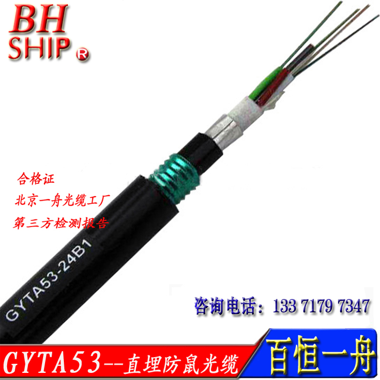 Na(chn)ƷGYTA53-8|ģAw(bio)ֱ8о|