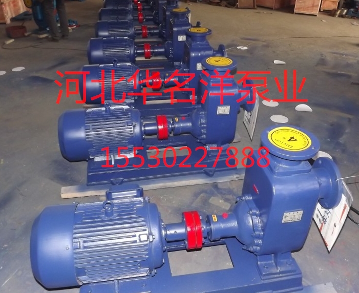 CZ ZAxı65-250B͸g