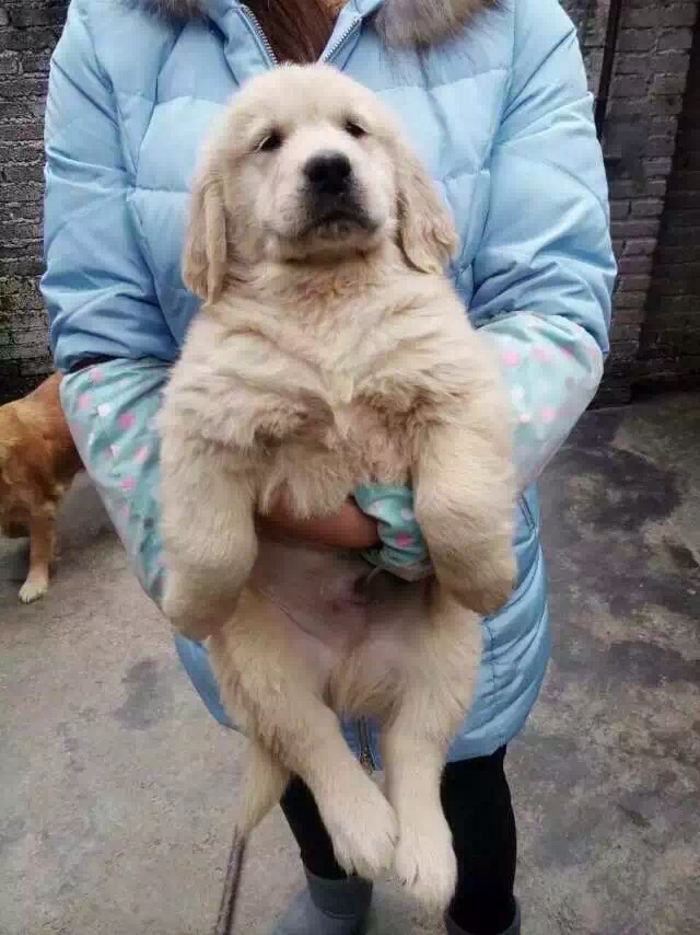 VݻйVݽëȮ֮