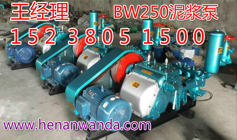 BW250׻ע{ÏS