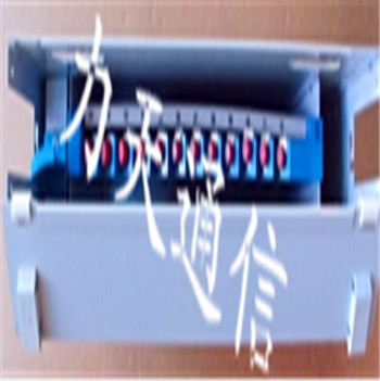 M䡿24оżwP ODF w侀 SCFCw