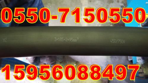 (yng)YCW-450/750 3*185+2*70ܛ|