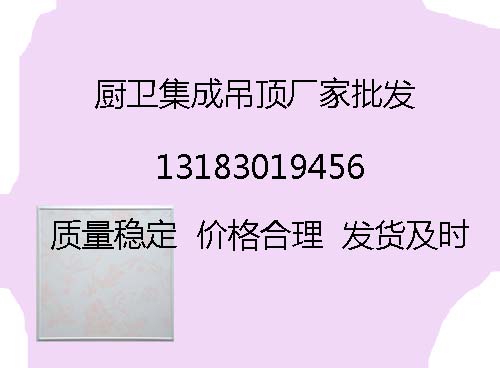 T{300*300X컨ɵ픡Slr