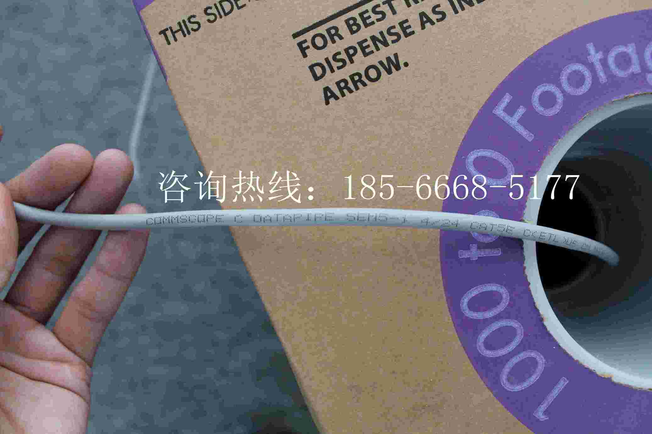 ճW̼eW1061ڿ