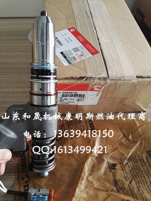 4903319  ˹M(jn)QSM11l(f)(dng)C(j) ֱN