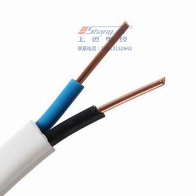 ϺM|F޹˾pgRVS-2X1.0