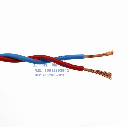 ϺM|F޹˾pgRVS-2X2.5